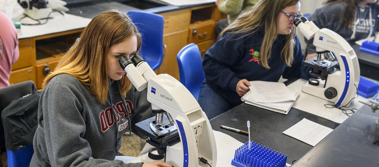 学生s working with lab equipment